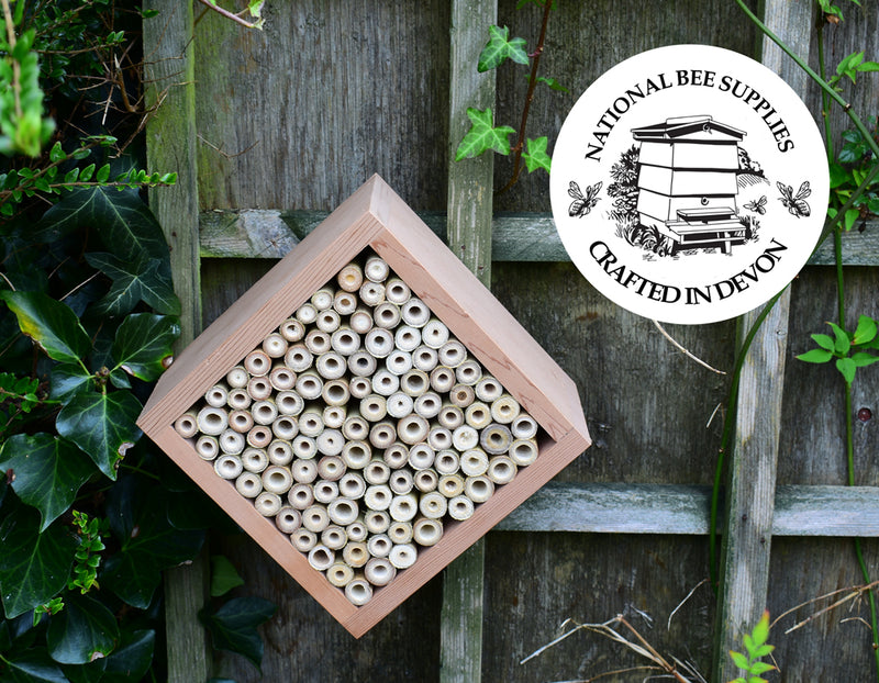 Cedar Solitary Bee Nester